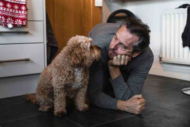 Man lying on kitchen floor face-to-face with a curly brown Cockapoo dog