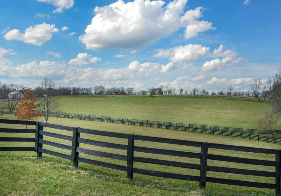 dog fence