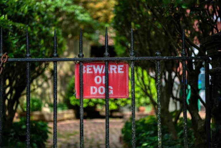 Red beware of dog warning sign attached to black iron gate fence showing dog fence laws by state compliance