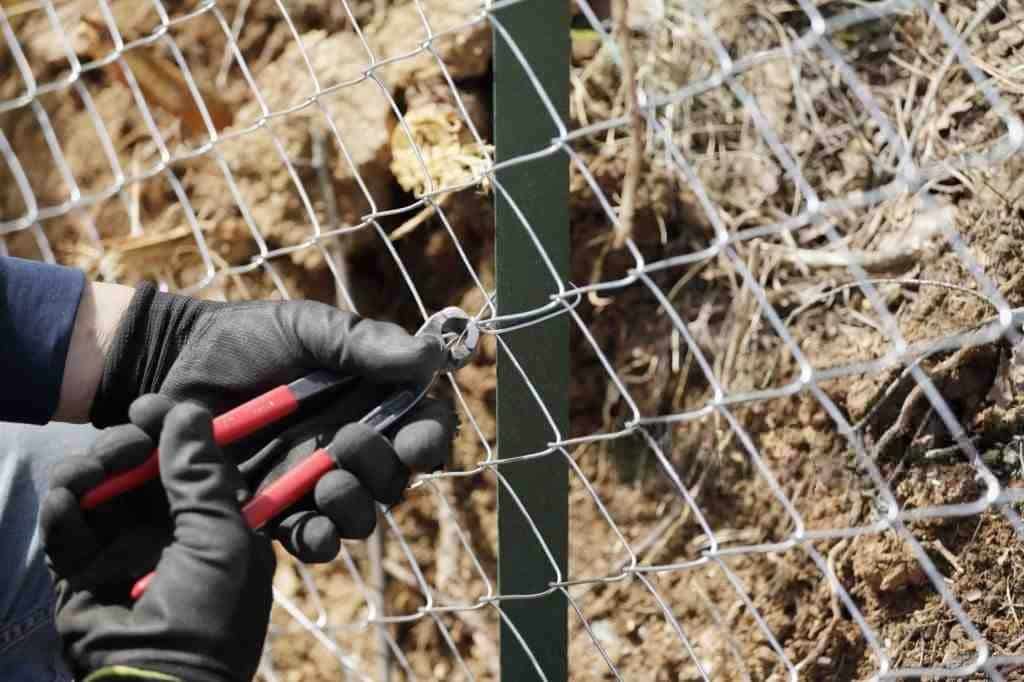 Dog Fence Wire Repair — gloved hands using pliers to fasten chain link wire to a fence post