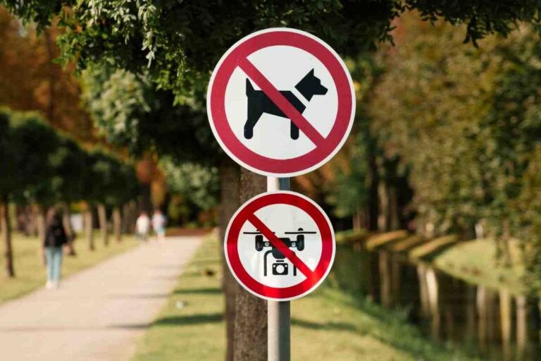 Invisible Fence HOA Rules — no dogs and no drones sign posted in a community park